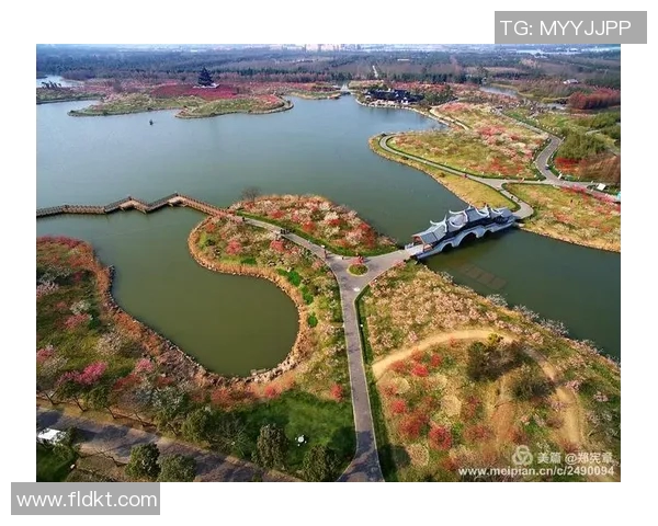 足球明星菲罗的精彩瞬间与魅力风采全景展示